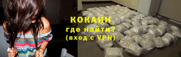 прущие грибы Каменск-Шахтинский