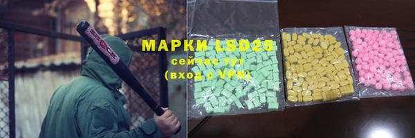 прущие грибы Каменск-Шахтинский