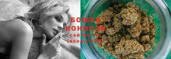 прущие грибы Каменск-Шахтинский